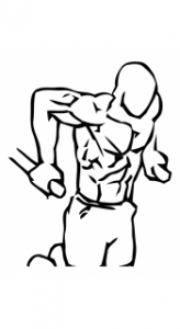 tricep-dips-using-body-weight-small-2