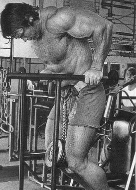 arnold chest training dips