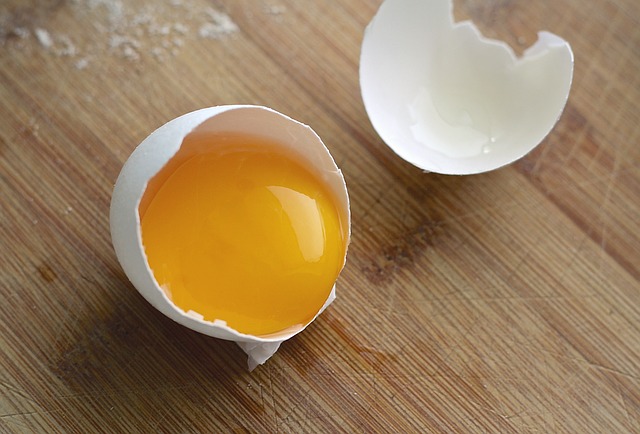 egg yolk choline
