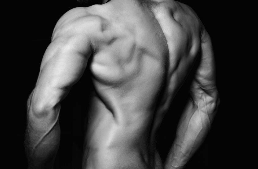 muscular back